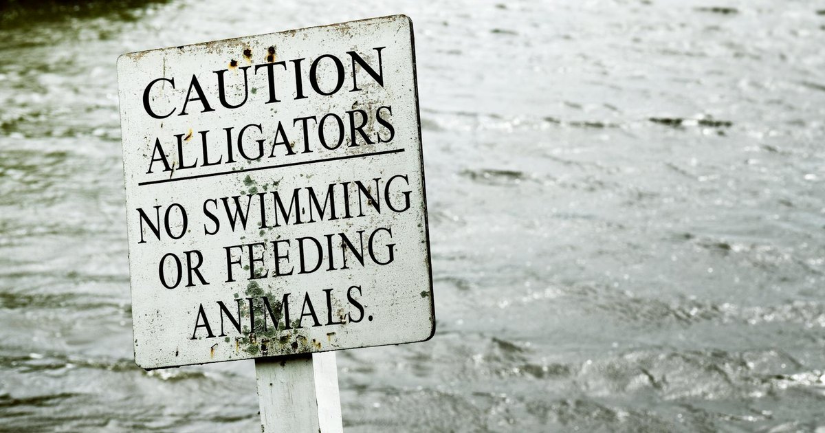 Warning — risks of buying gift cards with cryptocurrency include account bans and scam platforms